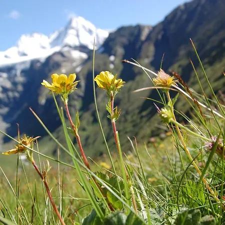 Sonnbergchalet Islitzer Уттендорф