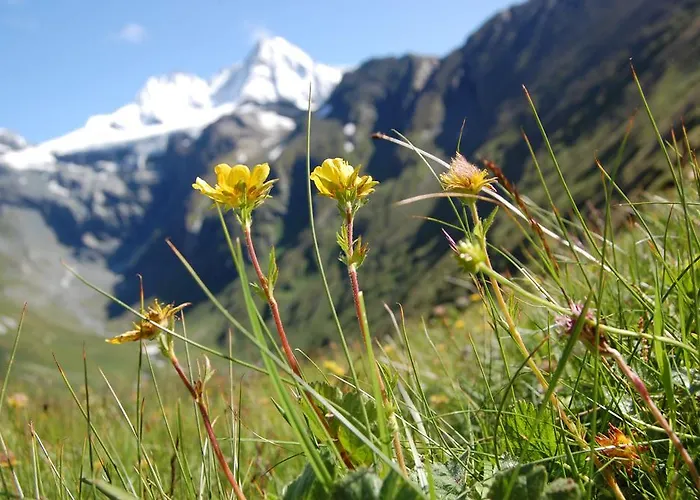 Sonnbergchalet Islitzer Uttendorf